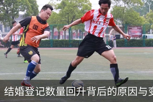 结婚登记数量回升背后的原因与变化