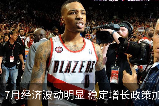7月经济波动明显 稳定增长政策加快实施